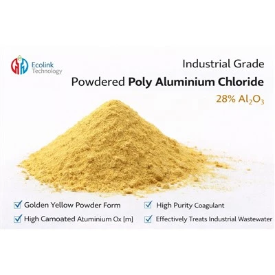 Bagaimanakah Flokulan Poli Aluminium Klorida berinteraksi dengan mikroorganis...